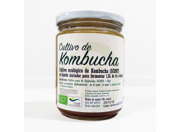 Cultivo De Kombucha (SCOBY) Bio