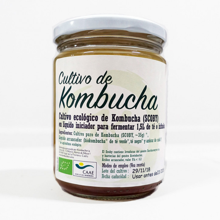 Cultivo De Kombucha (SCOBY) Bio