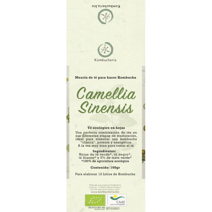 Camellia Sinensis - Mezcla de Té para hacer Kombucha